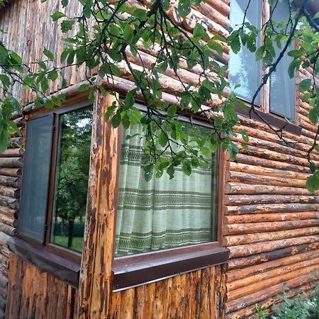 Casa Sara Nucsoara Hotel Kültér fotó