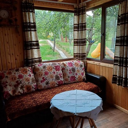 Casa Sara Nucsoara Hotel Kültér fotó