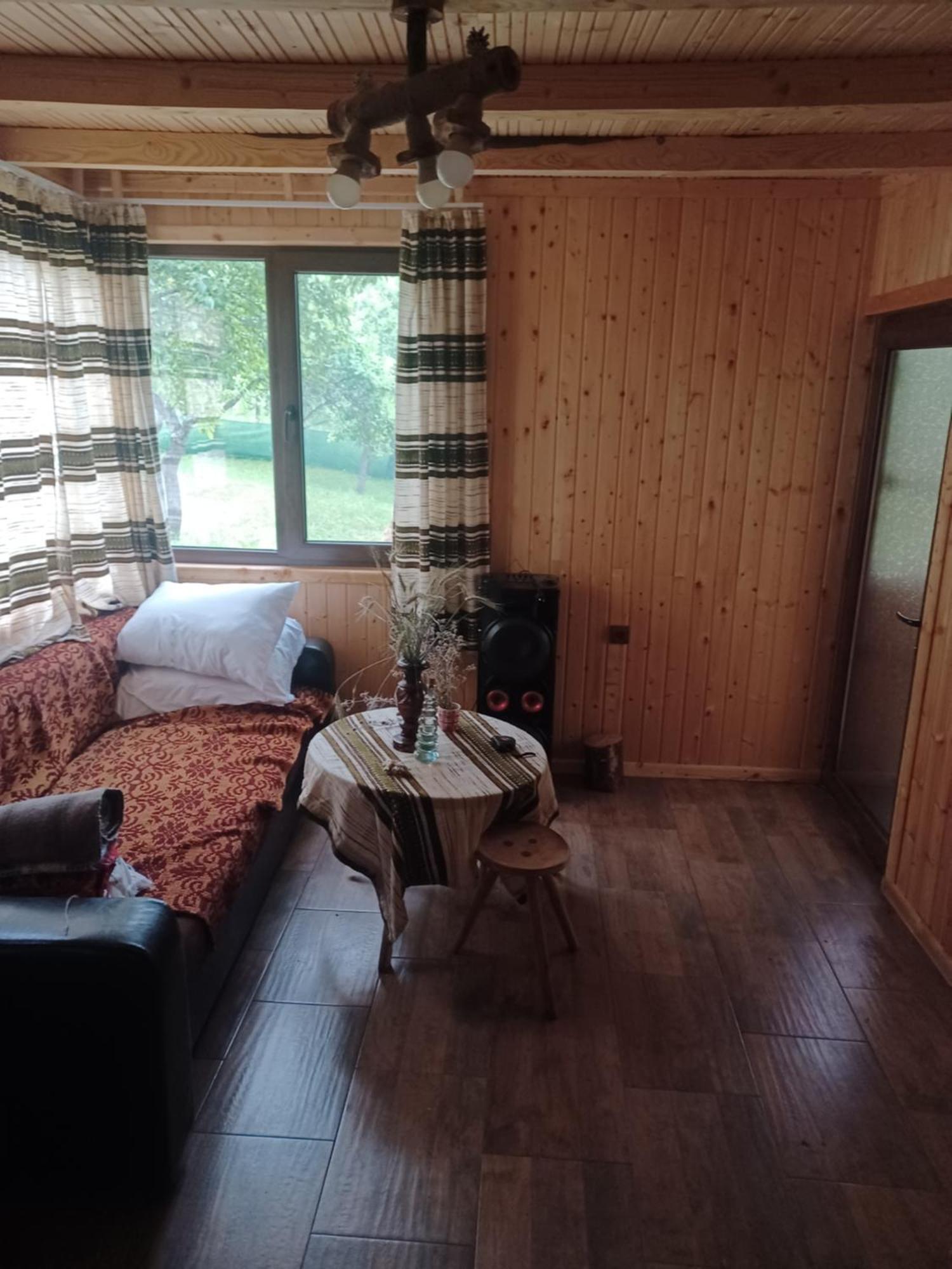 Casa Sara Nucsoara Hotel Kültér fotó