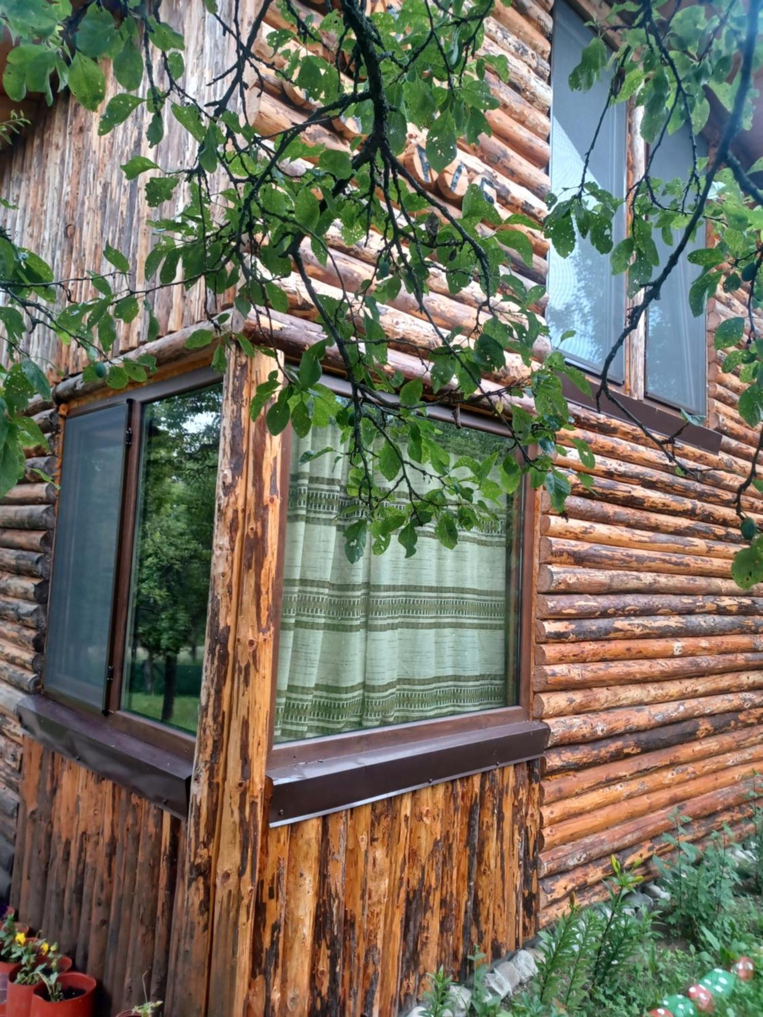 Casa Sara Nucsoara Hotel Kültér fotó