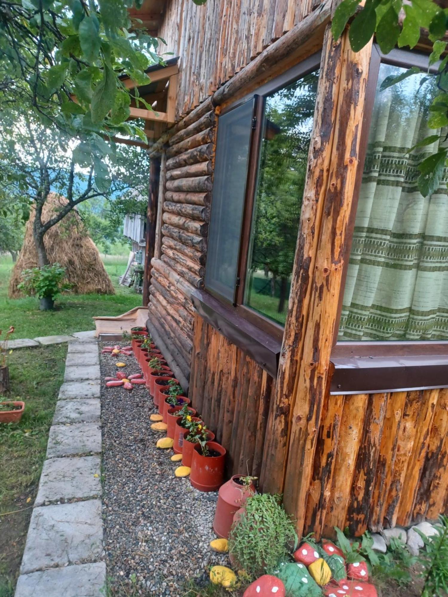 Casa Sara Nucsoara Hotel Kültér fotó